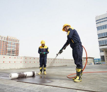 impermeabilizarcubiertacontelaasfalticaapreciobaratoenjerezdelafrontera 1920w