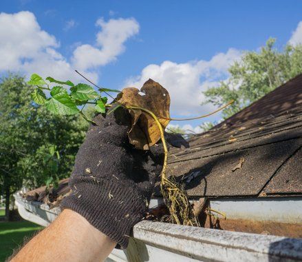 limpiarcanalonesybajantesenjerezdelafrontera 1920w
