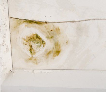 reparargoteraurgenteeneltejadoapreciobaratoenjerezdelafrontera 1920w